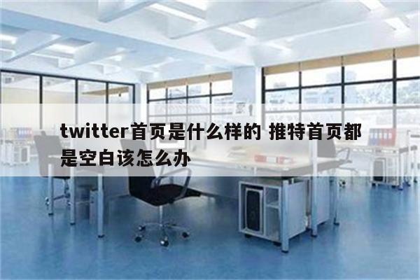 twitter首页是什么样的 推特首页都是空白该怎么办