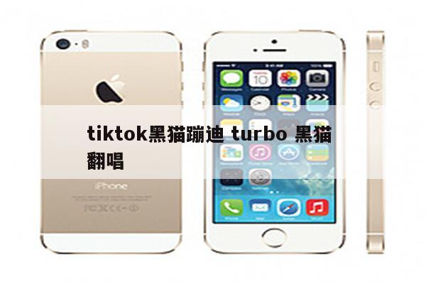 tiktok黑猫蹦迪 turbo 黑猫 翻唱