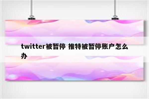 twitter被暂停 推特被暂停账户怎么办