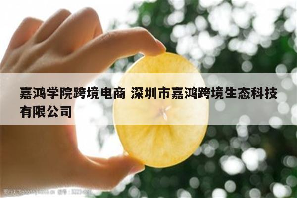 嘉鸿学院跨境电商 深圳市嘉鸿跨境生态科技有限公司