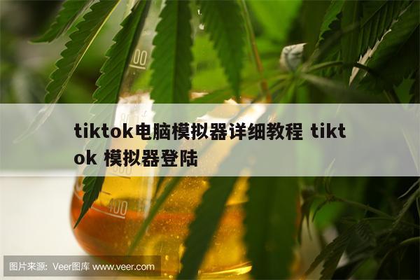 tiktok电脑模拟器详细教程 tiktok 模拟器登陆