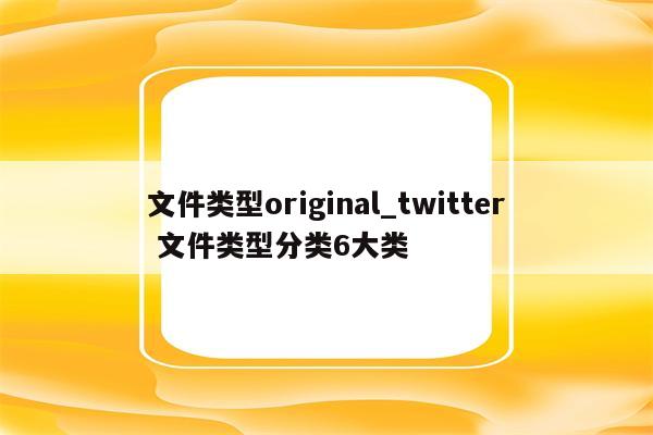 文件类型original_twitter 文件类型分类6大类