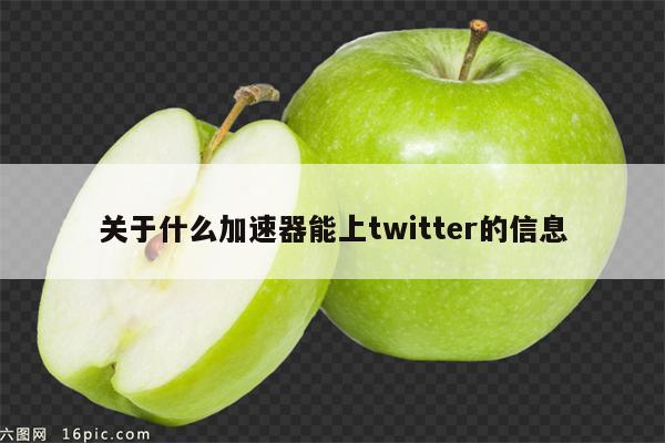 关于什么加速器能上twitter的信息