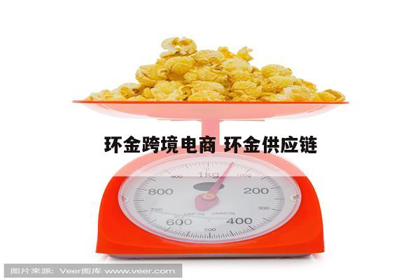 环金跨境电商 环金供应链