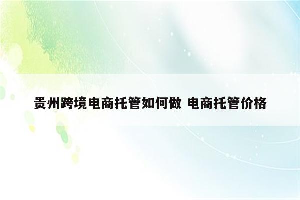 贵州跨境电商托管如何做 电商托管价格