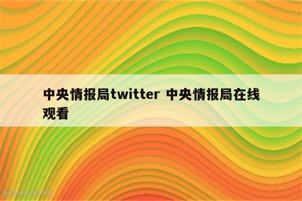 中央情报局twitter 中央情报局在线观看