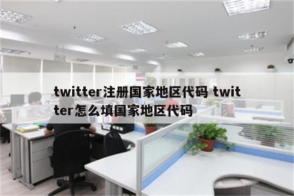twitter注册国家地区代码 twitter怎么填国家地区代码