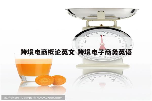 跨境电商概论英文 跨境电子商务英语