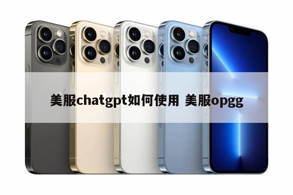 美服chatgpt如何使用 美服opgg