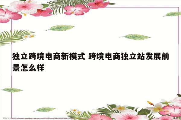 独立跨境电商新模式 跨境电商独立站发展前景怎么样