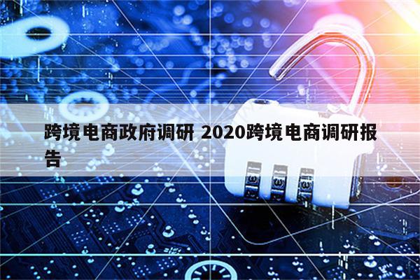 跨境电商政府调研 2020跨境电商调研报告