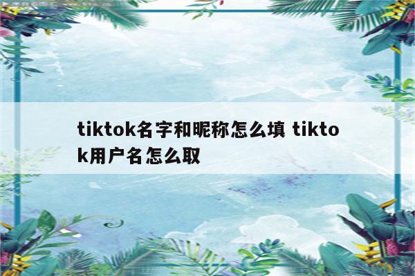 tiktok名字和昵称怎么填 tiktok用户名怎么取