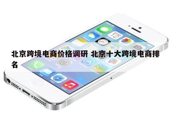 北京跨境电商价格调研 北京十大跨境电商排名