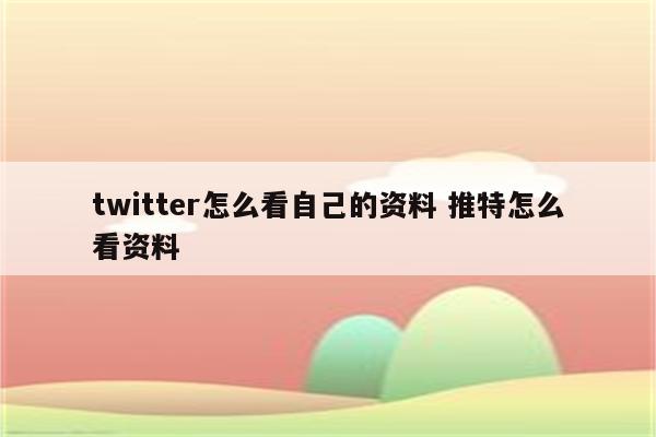 twitter怎么看自己的资料 推特怎么看资料