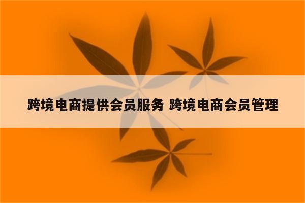 跨境电商提供会员服务 跨境电商会员管理