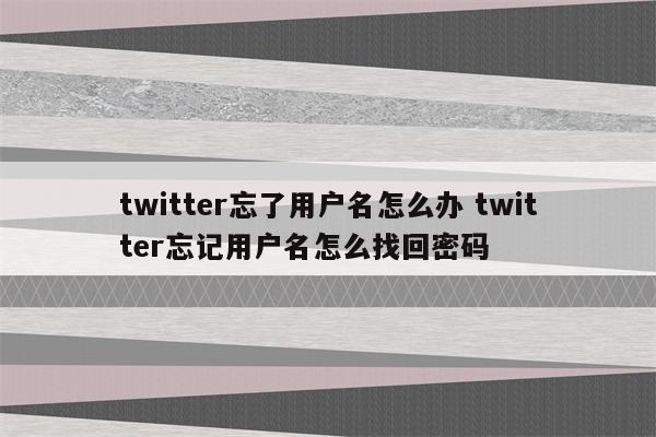 twitter忘了用户名怎么办 twitter忘记用户名怎么找回密码