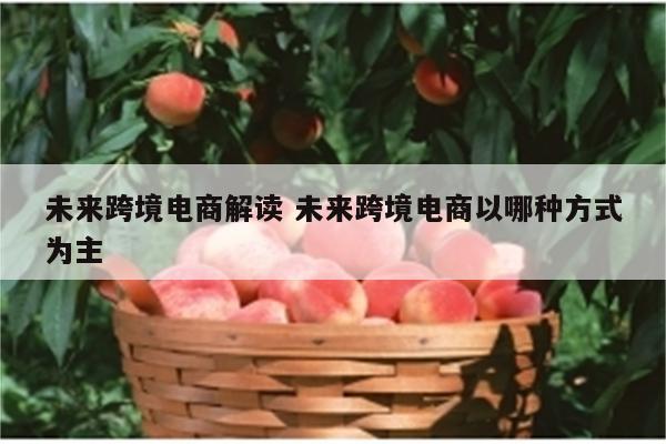 未来跨境电商解读 未来跨境电商以哪种方式为主