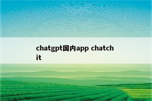 chatgpt国内app chatch it