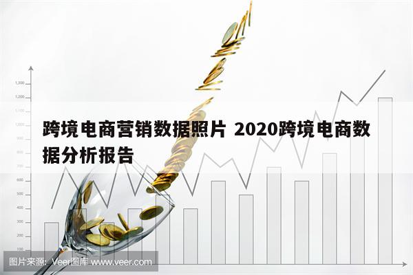 跨境电商营销数据照片 2020跨境电商数据分析报告