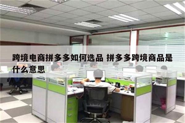 跨境电商拼多多如何选品 拼多多跨境商品是什么意思