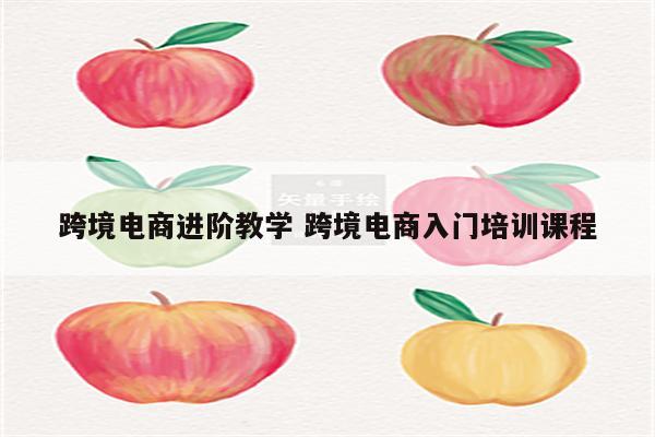 跨境电商进阶教学 跨境电商入门培训课程