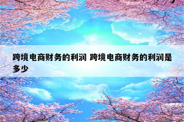 跨境电商财务的利润 跨境电商财务的利润是多少
