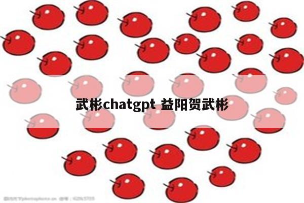 武彬chatgpt 益阳贺武彬