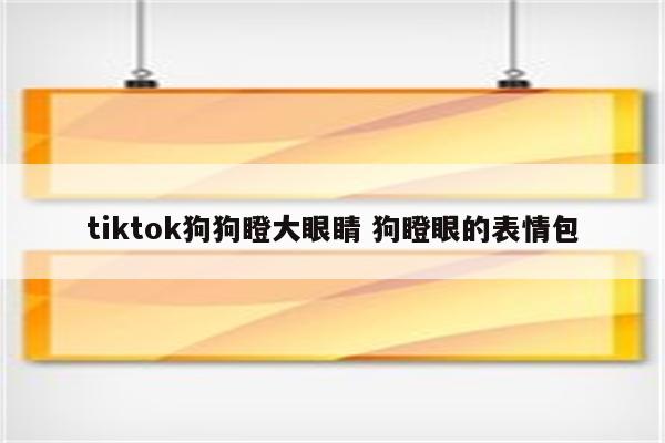 tiktok狗狗瞪大眼睛 狗瞪眼的表情包