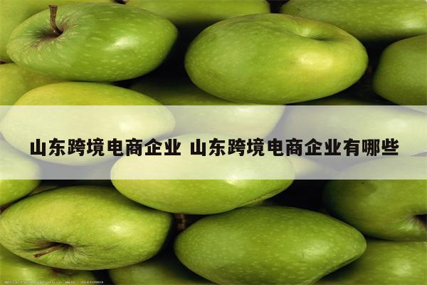山东跨境电商企业 山东跨境电商企业有哪些