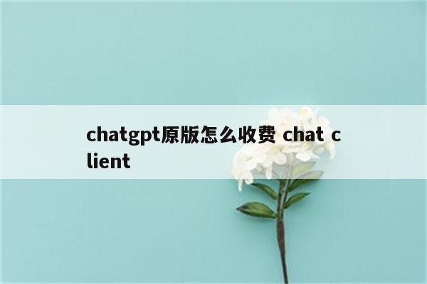 chatgpt原版怎么收费 chat client