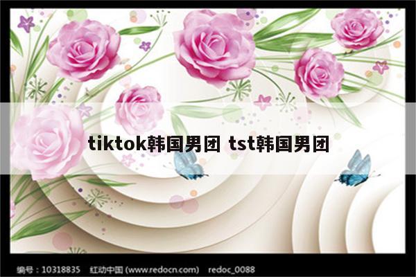 tiktok韩国男团 tst韩国男团