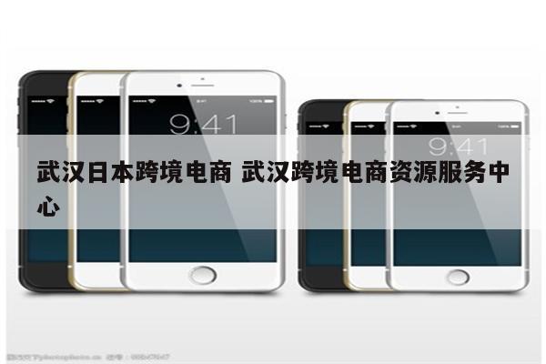 武汉日本跨境电商 武汉跨境电商资源服务中心