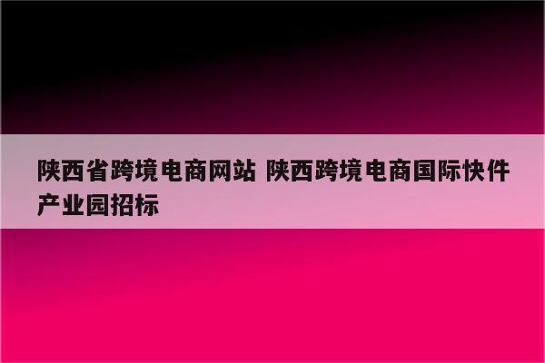 陕西省跨境电商网站 陕西跨境电商国际快件产业园招标