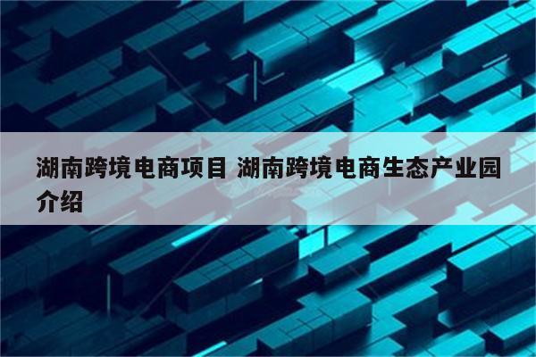 湖南跨境电商项目 湖南跨境电商生态产业园介绍