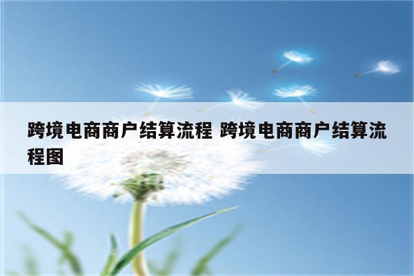 跨境电商商户结算流程 跨境电商商户结算流程图