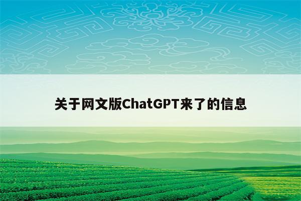 关于网文版ChatGPT来了的信息