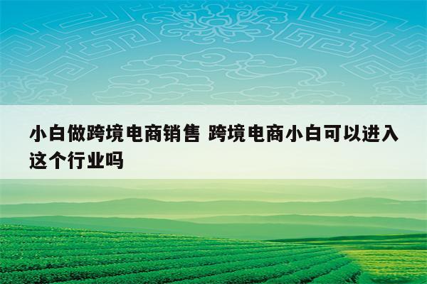 小白做跨境电商销售 跨境电商小白可以进入这个行业吗