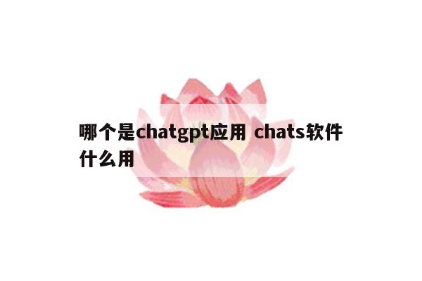 哪个是chatgpt应用 chats软件什么用