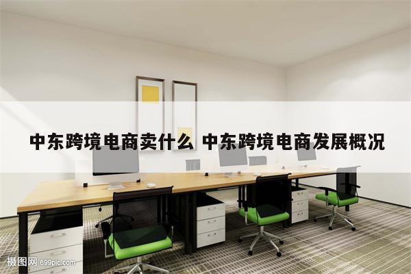 中东跨境电商卖什么 中东跨境电商发展概况