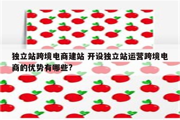 独立站跨境电商建站 开设独立站运营跨境电商的优势有哪些?