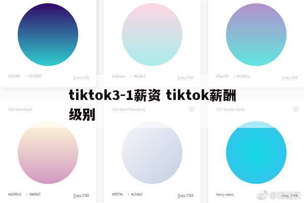 tiktok3-1薪资 tiktok薪酬级别