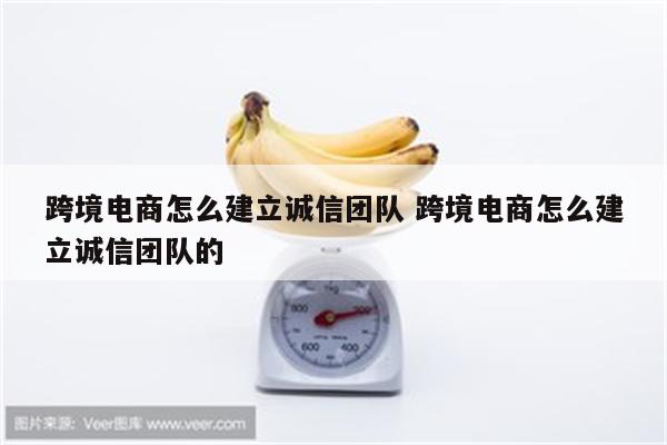 跨境电商怎么建立诚信团队 跨境电商怎么建立诚信团队的