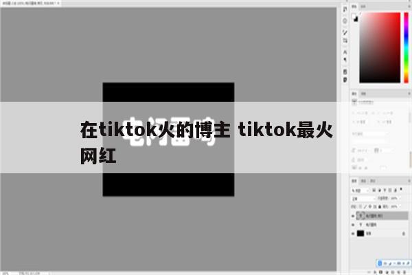在tiktok火的博主 tiktok最火网红