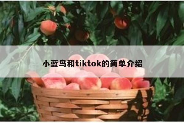 小蓝鸟和tiktok的简单介绍