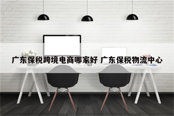广东保税跨境电商哪家好 广东保税物流中心