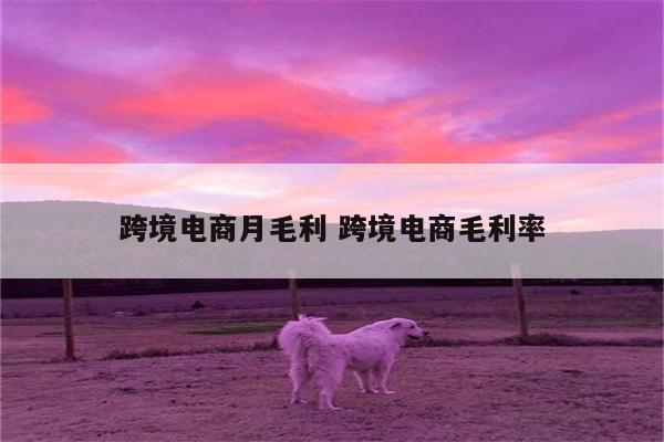 跨境电商月毛利 跨境电商毛利率