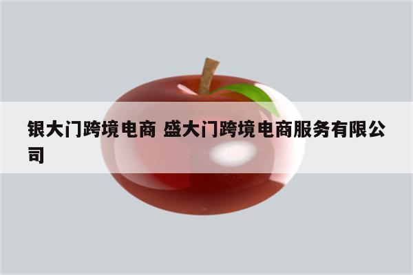 银大门跨境电商 盛大门跨境电商服务有限公司
