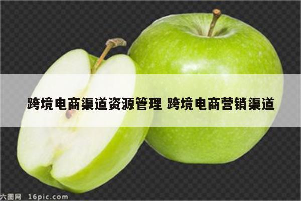 跨境电商渠道资源管理 跨境电商营销渠道