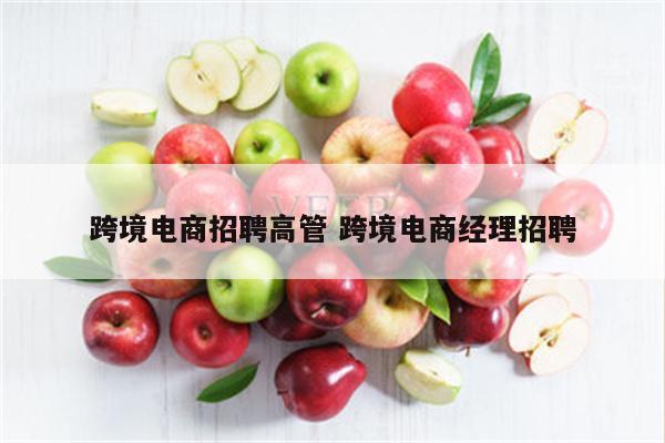 跨境电商招聘高管 跨境电商经理招聘