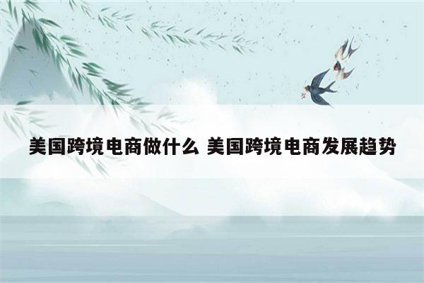 美国跨境电商做什么 美国跨境电商发展趋势